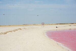 Pink lake