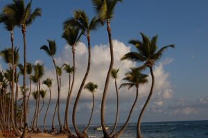 punta-cana