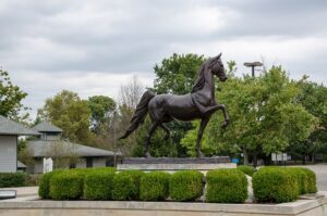 kentucky-horse-park