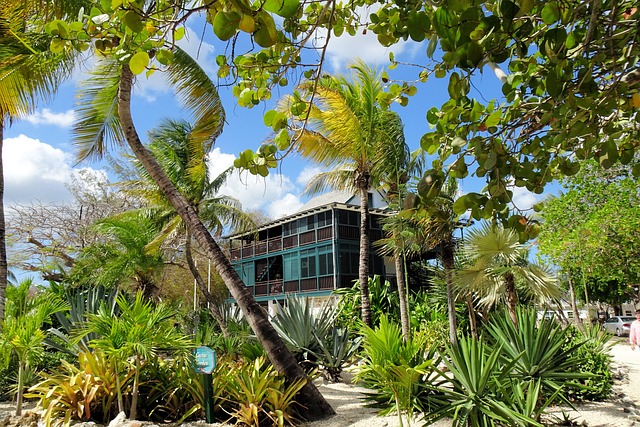 Image by Willipixel from Pixabay