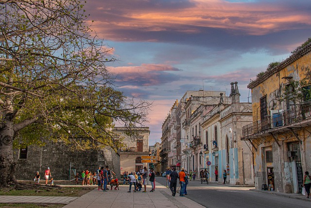 Image by Andrea Ridács from Pixabay