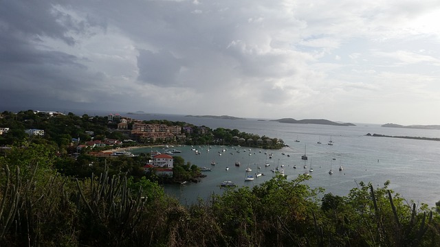 Image by inactionsolutions from Pixabay